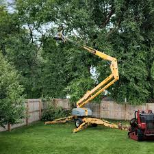 Best Tree Maintenance Programs  in Marietta, GA